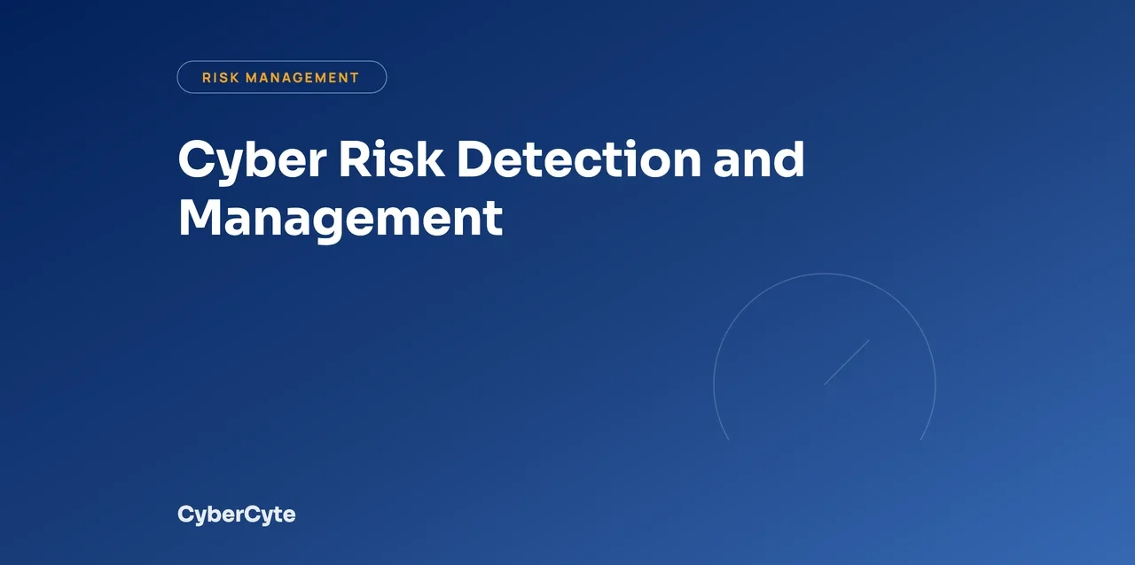 The Impact of Shadow-IT on Cyber Risk Detection and Management cover image